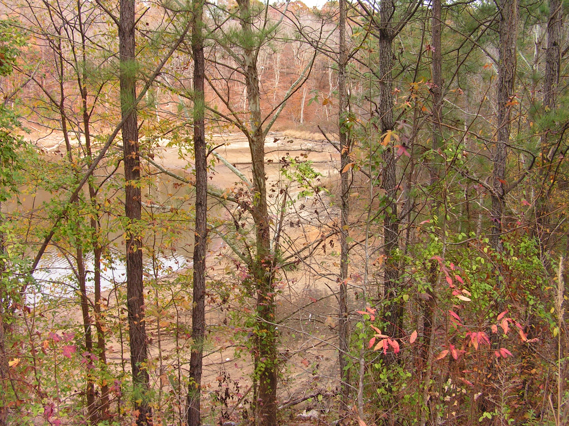 ./2005/Falls Lake Low Water/Fall Lake low nov 0033.JPG